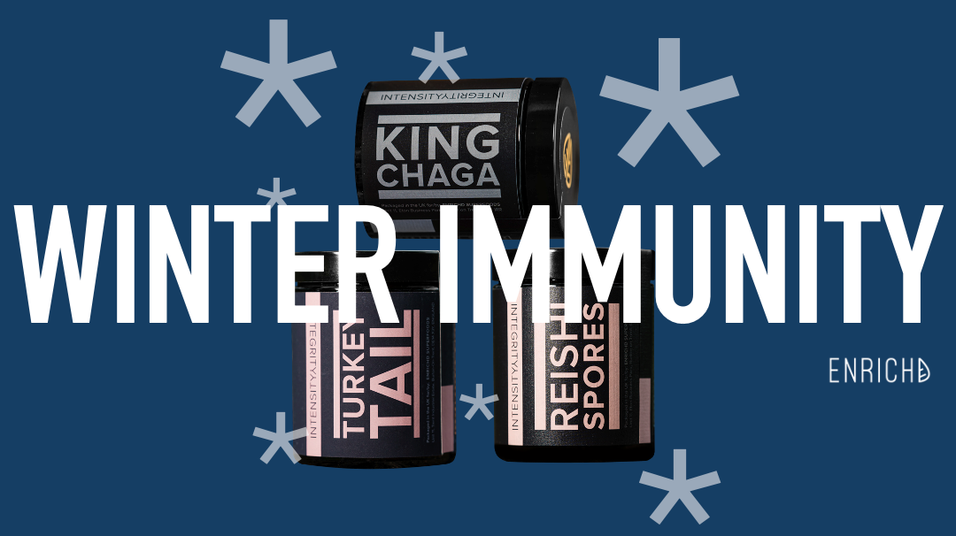 Medicinal mushrooms like Reishi, Chaga, and Lion’s Mane for winter health and wellness