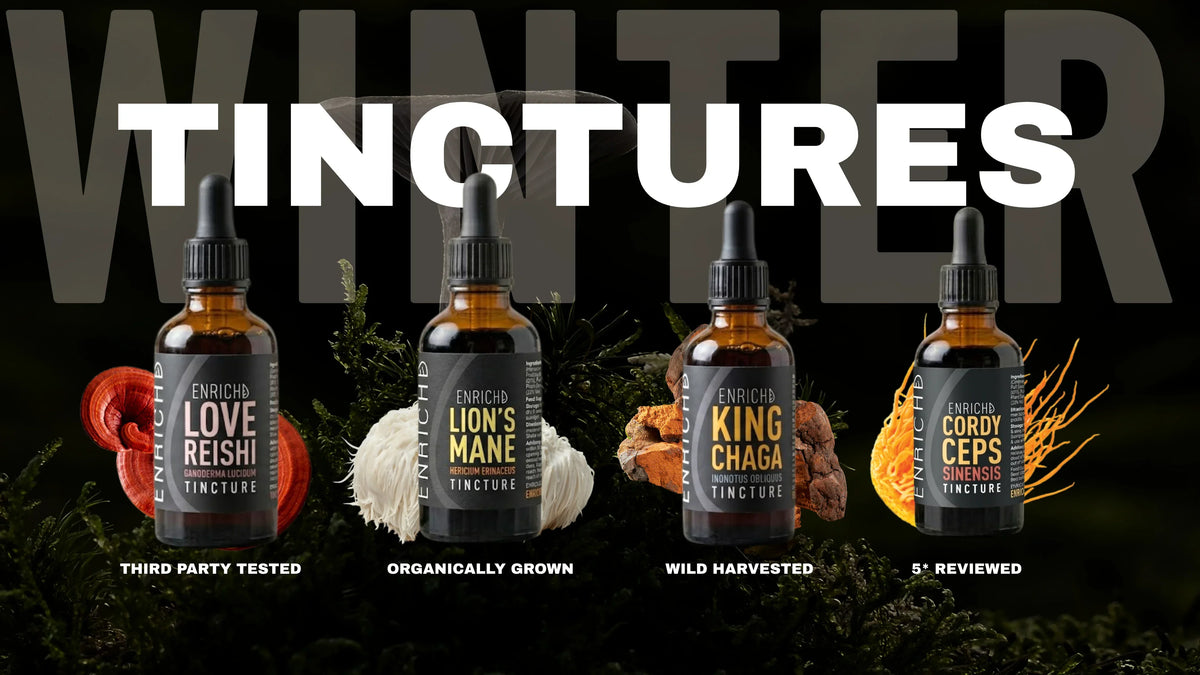 ENRICHD Winter Tinctures collection, Reishi, Lion's Mane, Chaga and Cordyceps mushroom tinctures