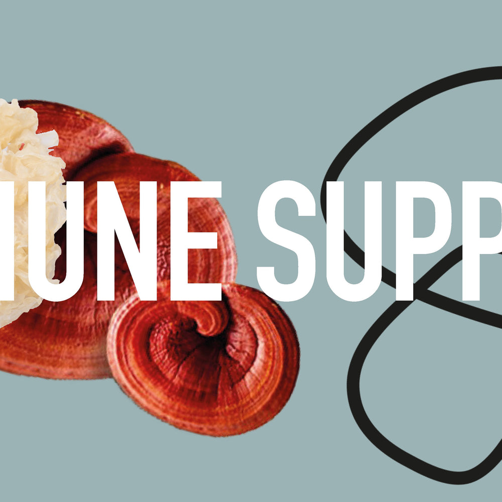 mushroom powders for immune support