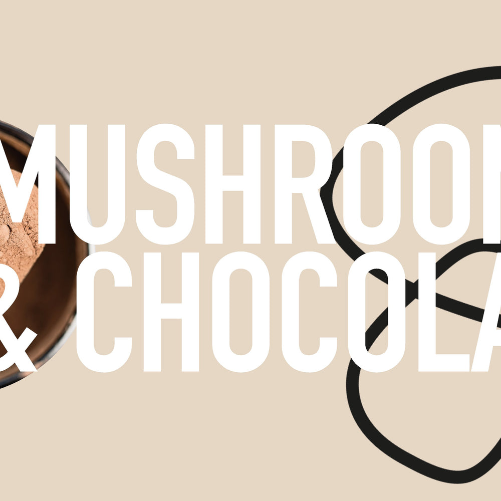 medicinal mushroom powders