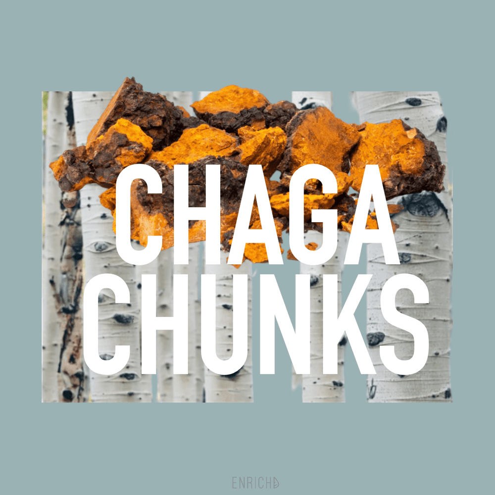 
                      
                        Medicinal Mushrooms Chaga Chunks from North America's Wild Forests Chaga Chunks | Wild Harvested | Chaga Mushroom Tea | ENRICHD
                      
                    