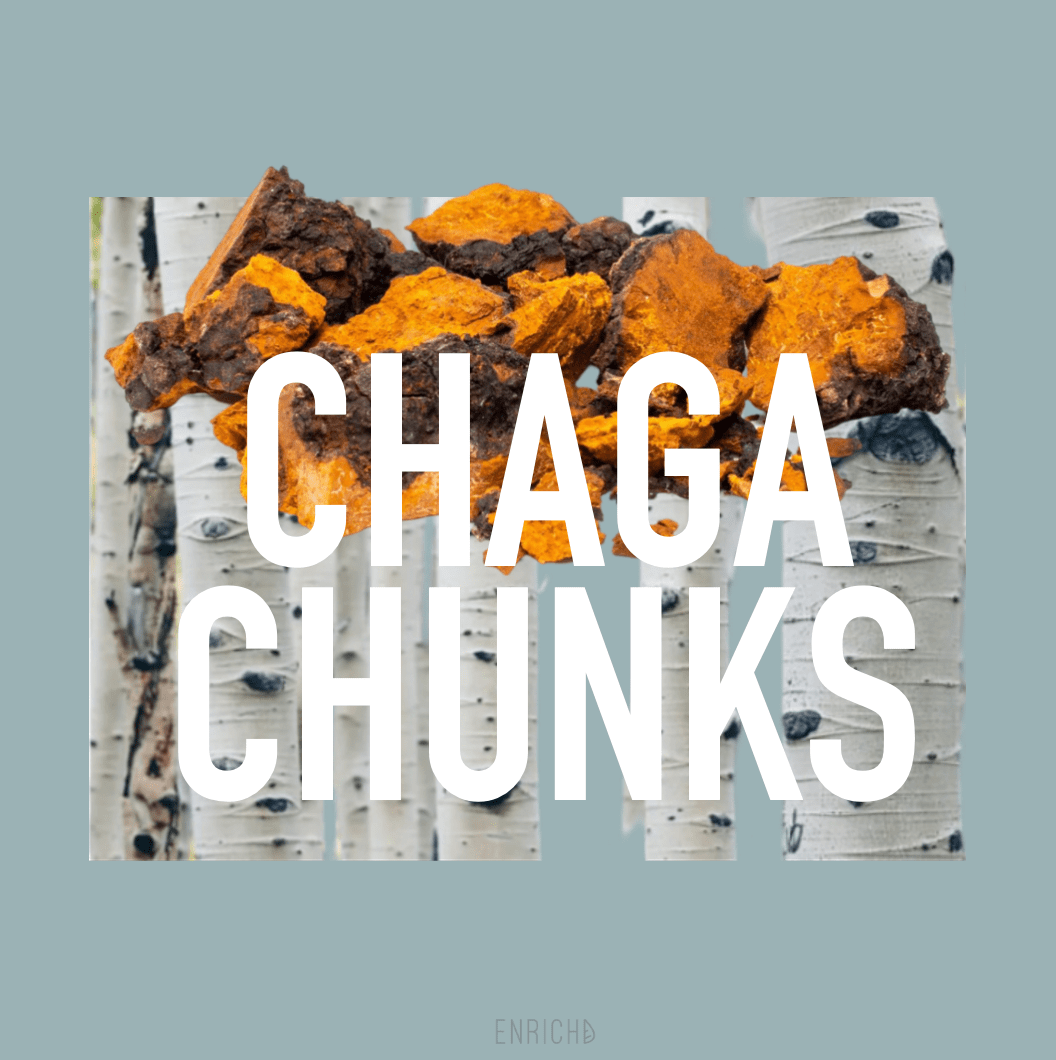 Medicinal Mushrooms Chaga Chunks from North America's Wild Forests Chaga Chunks | Wild Harvested | Chaga Mushroom Tea | ENRICHD