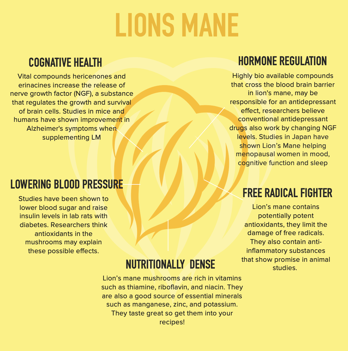 Energy with Clarity // Cordyceps and Lions Mane Energy with Clarity // Cordyceps and Lions Mane