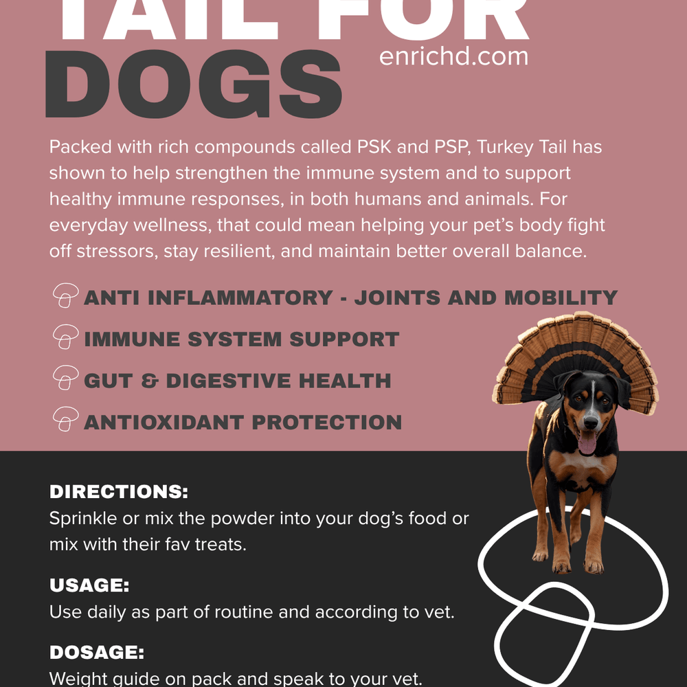 
                      
                        Medicinal Mushrooms Turkey Tail Mushroom 42% Beta Glucans - Extract Powder (2000mg) Turkey Tail Mushroom UK | Extract Powder | 5* Reviews 
                      
                    