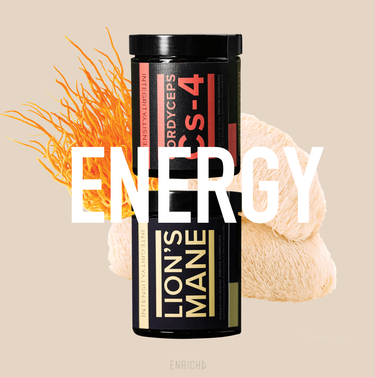 Energy with Clarity // Cordyceps and Lions Mane Energy with Clarity // Cordyceps and Lions Mane