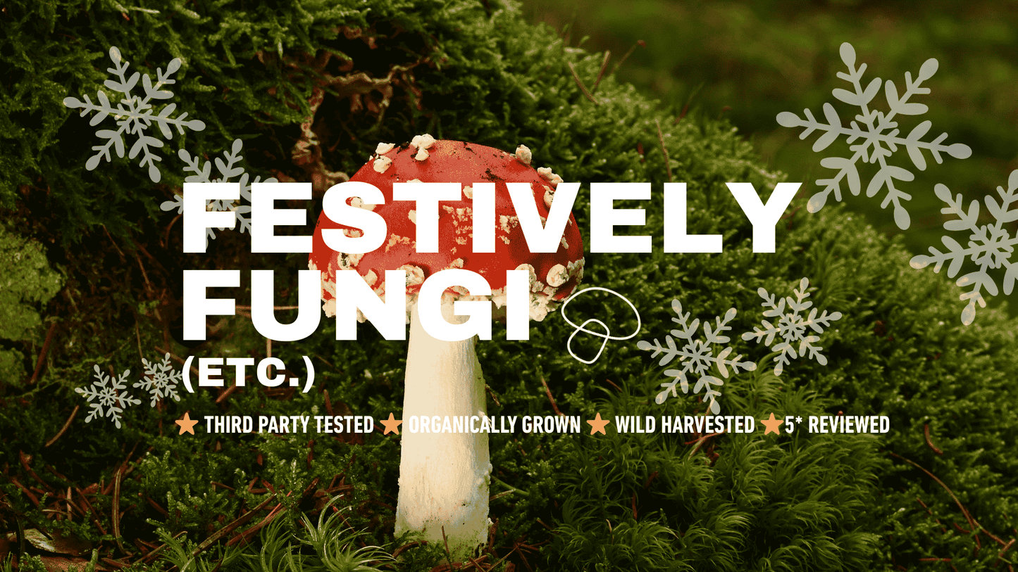 Mushroom with text 'Festively Fungi (etc.)' on a green background with snowflakes.
