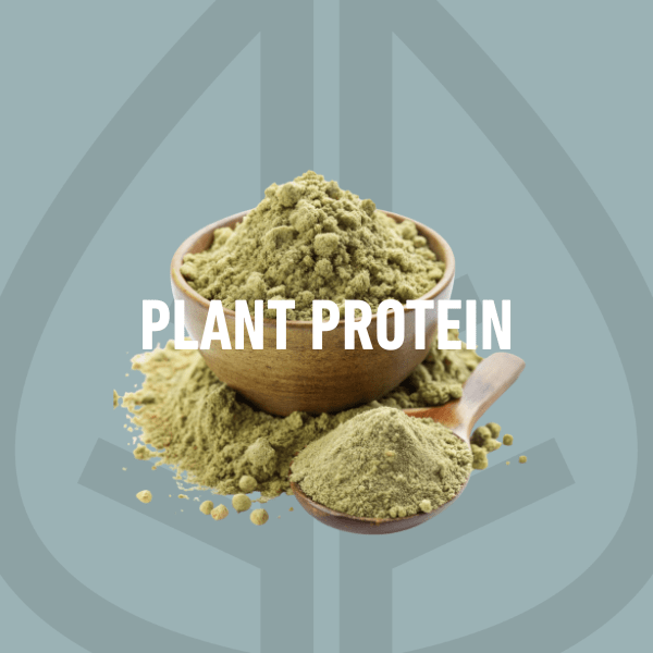 Protein Powders