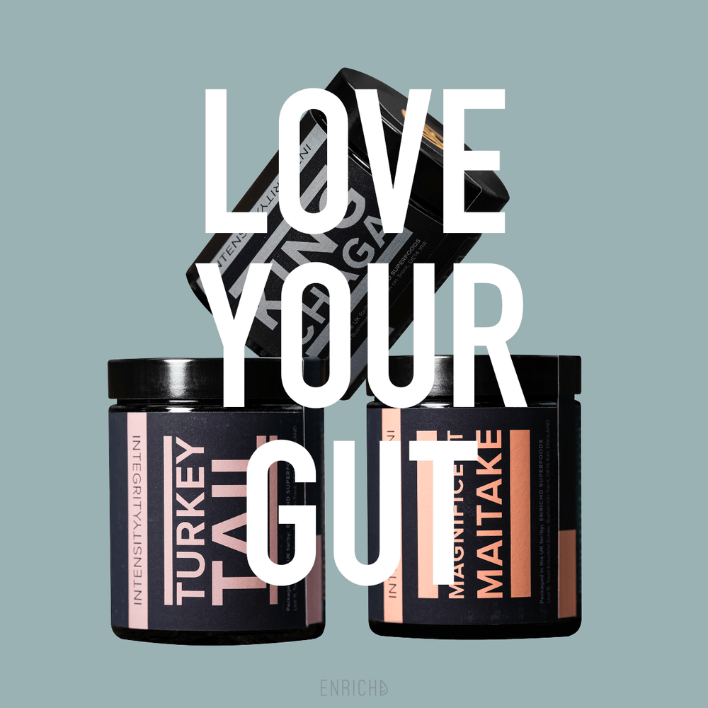 Gut Love // Maitake + Turkey Tail + Chaga Gut Love // Maitake + Turkey Tail + Chaga