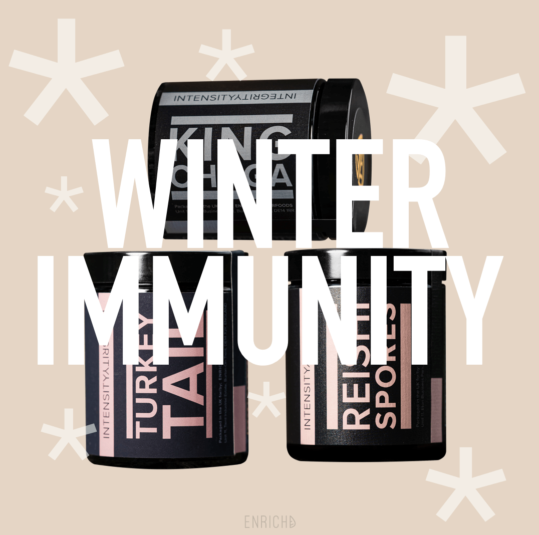 Winter Wonder // Chaga + Reishi + Turkey Tail Winter Wonder // Chaga + Reishi + Turkey Tail