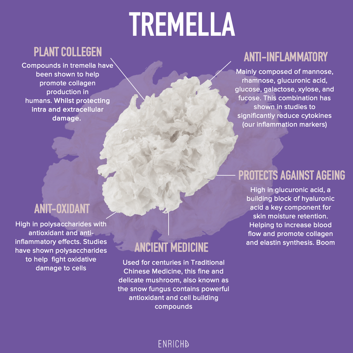 Smart and Beautiful - Lions Mane and Tremella Smart and Beautiful - Lions Mane and Tremella