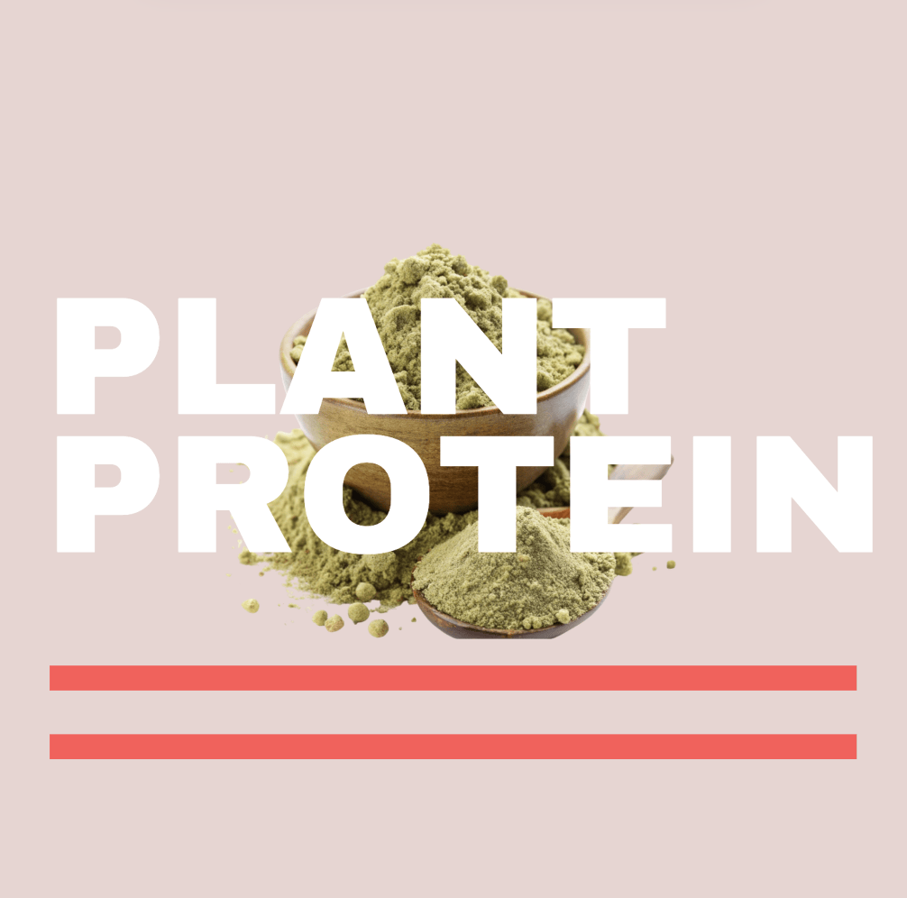 Plant Protein Powders